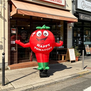 <span class=keywords><strong>Tomate</strong></span> géante gonflable lumineuse à LED <span class=keywords><strong>de</strong></span> 3 m, modèle <span class=keywords><strong>de</strong></span> mascotte <span class=keywords><strong>de</strong></span> <span class=keywords><strong>tomate</strong></span> <span class=keywords><strong>de</strong></span> dessin animé avec logo personnalisé pour la publicité extérieure/promotion <span class=keywords><strong>de</strong></span> marque - Product Image 5