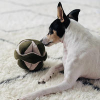 Jouets d'exercice pour chiens JIUZE, fabriqués sur mesure, écologiques, luxueux, modernes, en polyester et coton, pour soulager l'anxiété et l'entraînement