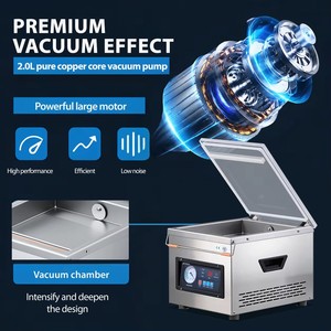 Selladora al Vacío de Acero Inoxidable, Máquina de Envasado al Vacío de Sobremesa para Alimentos Secos y Húmedos, Carne, Mariscos, Granos de Café - Product Image 5