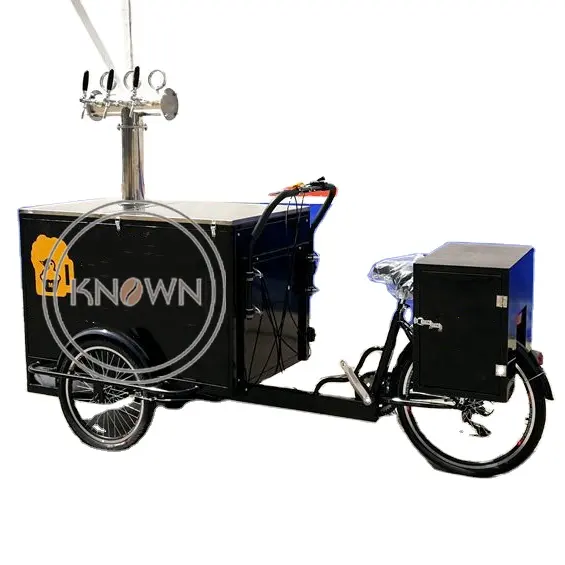 Triciclo de carga eléctrica, triciclo de tres ruedas con caja delantera, Pedal de asistencia, Venidng para aperitivos, OEM