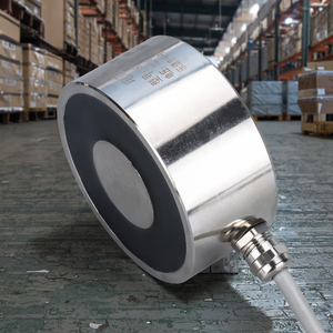 ליאנshenggaoke 220v/380v <span class=keywords><strong>dc</strong></span> מיני מעגלית אחריות 1.5 10 טון עומס טון קיבולת קורוזיה הגנה ידידותית לסביבה - Product Image 4