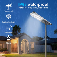 Lampadaire solaire LED tout-en-un 100W-500W avec batterie, étanche IP65, télécommande, personnalisable, intégré pour extérieur