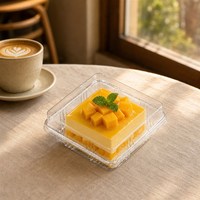 Boîte à dessert carrée jetable en plastique transparent avec couvercle dôme, contenant alimentaire pour cheesecake basque, hamburger, salade à emporter, vente en gros