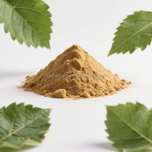 食品グレード1% DNJ白桑の葉エキス粉末バルク注文割引迅速配送ドラムまたはボトル入り - Product Image 4