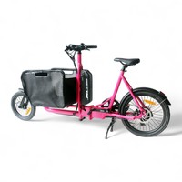 Mini vélo cargo électrique hybride pédale Ebike pour vélo utilitaire de livraison de nourriture E-Cargo pliable