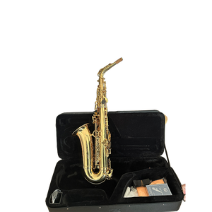 Tốt nhất bán EB alto sax OEM chất lượng tốt vàng sơn mài EB tone Alto Saxophone với cao <span class=keywords><strong>F</strong></span> & nhạc cụ woodwind - Product Image 3