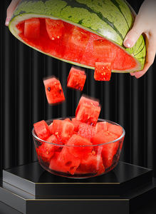 Outil de dénoyautage de dattes rouges, de jujubes, de cerises et d'olives en acier inoxydable Syh237 pour la cuisine domestique, outil de retrait des noyaux de fruits et des pépins - Product Image 4