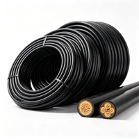 Kabel Daya Tegangan Rendah Youhui 0.6/1kV XLPE-Aluminium/Tembaga Selubung PVC IP65/IP67 Tahan Api (Kelas A/B) 6mm