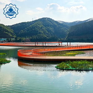 Pontili Galleggianti e Boe - Piattaforma Galleggiante per Laghi e Serbatoi, Passerella Panoramica con Pavimentazione Effetto Legno - Product Image 2