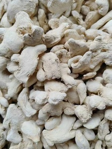 En Çok Satan Premium Ham Kurutulmuş Zencefil Bütün Güçlü Aromalı Yemeklik Bitkisel Çaylar Doğal Baharatlar Beyaz Guangxi Çin Fabrikasından - Product Image 3