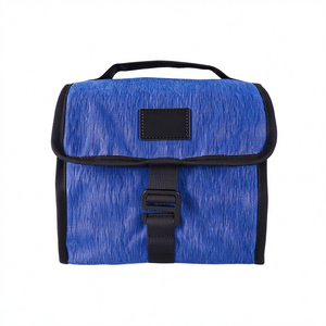 Sac isotherme portable personnalisé OEM pour repas, petit format, avec double poignée, étanche, écologique, en tissu 600D, avec fermeture éclair - Product Image 1