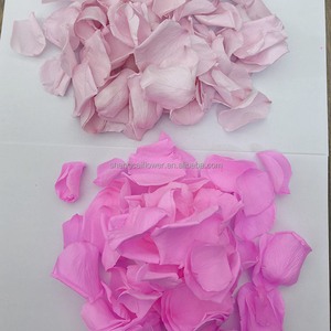 Pétalos de Rosa Preservados, Confeti para Bodas, Pétalos Grandes Rojos, Blancos, Azules y Rosas, Cesta para Niña de las Flores, Flores Secas, Decoraciones Navideñas - Product Image 3