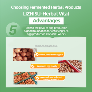 Chất lượng cao gia cầm lớp thức ăn phụ gia gà premix trứng tăng khả năng sinh sản tăng cường với thức ăn lớp axit amin - Product Image 4