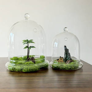 Contenitore <span class=keywords><strong>moderno</strong></span> <span class=keywords><strong>in</strong></span> <span class=keywords><strong>vetro</strong></span> trasparente per terrario con Base Airhole per casa Display da tavolo Cloche Dome per il <span class=keywords><strong>centrotavola</strong></span> fiore vegetale - Product Image 1