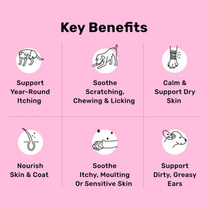 Private Label Dog All-itch & Immunity Treats-120 Kibble Good For <b>Scratching</b> Licking And Chewing Granule Dog Health Supplement - Product Image 3