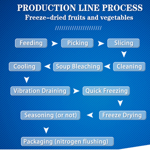 AICN 50/100/200/300Kg/lot Commercial Industriel Miel Café Lait Liquide Lyophilisateur Lyophilisateur Équipement De Lyophilisation - Product Image 2