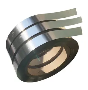 Strip baja tahan karat Guling dingin Kustom 304 dengan Strip baja tahan karat tebal 0.05mm 2mm/koil/pita/pita untuk bahan bangunan