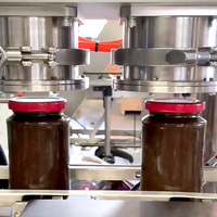 Solution de remplissage par piston servo et d'emballage en bocaux de verre pour ligne d'emballage de mayonnaise