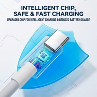 Câble de données en gros Type-C vers Type-C de 2 mètres en matériau TPE 6A SB-C vers USB-C