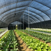 HDPE Rechthoekig Geweven Schaduwnet Zwart Ecologisch Anti-UV Heavy Duty voor Landbouwgebruik met UV-bescherming
