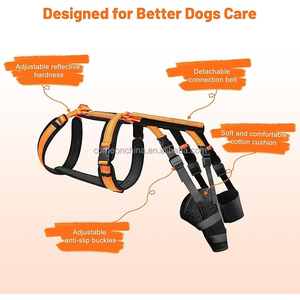 Attelle de <span class=keywords><strong>genou</strong></span> pour chien avec harnais réglable, attelle de <span class=keywords><strong>genou</strong></span> pour chien pour l'arthrose du <span class=keywords><strong>ligament</strong></span> <span class=keywords><strong>croisé</strong></span> antérieur, blessure du <span class=keywords><strong>ligament</strong></span> rotulien, douleur articulaire, attelles pour pattes arrière - Product Image 3