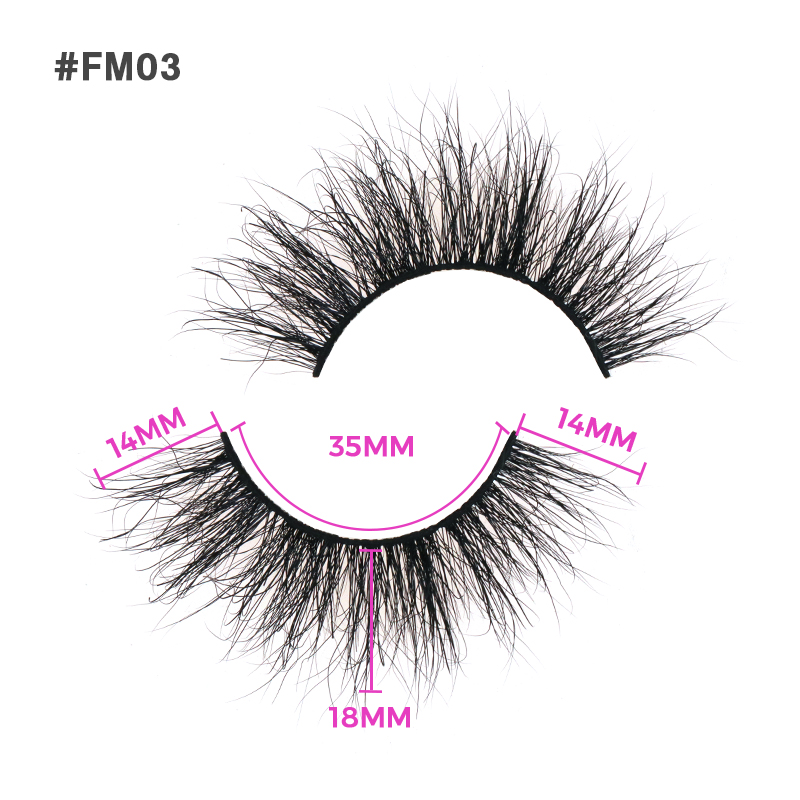 FM03