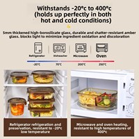 Contenants alimentaires en verre ambré à 2 compartiments avec couvercles, boîtes repas pour adultes avec séparateurs