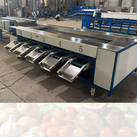 Hoogwaardige automatische fruit- en groentesorteermachine voor aardappelen, knoflook en uien, 304 roestvrij staal, fruitverwerkingsinstallatie