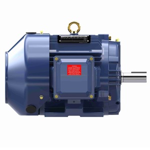 มอเตอร์ซิงโครนัสสามเฟส Leeson รุ่น 184TTFCD6026CB สำหรับอุปกรณ์เครื่องจักรกล ประเทศสหรัฐอเมริกา - Product Image 1