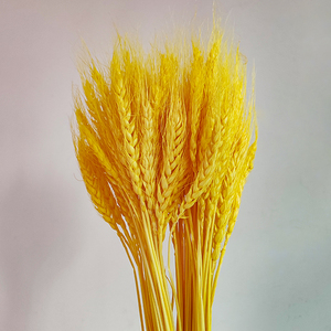 Vente directe par le fabricant du Yunnan de bouquets de blé séchés biologiques de plantes de fleurs éternelles naturelles et de faisceaux de paille pour mariage à la maison - Product Image 2