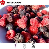 Penjualan Panas Panen Baru IQF Buah Beri Campuran Beku Massal Stroberi Blackberry Raspberry Blueberry Lingonberry