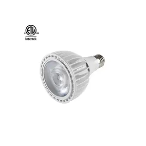 Daytonled Seri Batu Akik Jade ETL, Perhiasan CETL 35W 40W Par30 Lampu Sorot Led