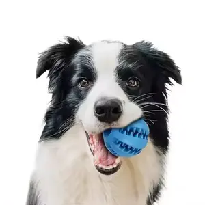ペットの歯のクリーニングのための高品質の耐久性のある犬の噛むと歯が生えるおもちゃマルチカラーゴム無毒の犬の噛むおもちゃのボール