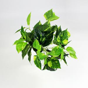 Feuilles de fougère artificielles écologiques Sunwing - Fougères <span class=keywords><strong>en</strong></span> plastique <span class=keywords><strong>en</strong></span> <span class=keywords><strong>pot</strong></span> pour usage intérieur/extérieur et commercial - Product Image 5