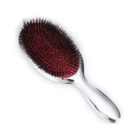 Pagaie de placage argent pour femmes, antistatique, poils en Nylon, brosse de Massage ionique, ensemble de brosses à cheveux pour femmes
