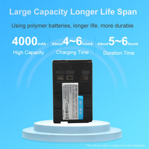 Литий-ионный аккумулятор RingTeam 4,8 В 4000 мАч VW-VBS20E VW-VBS10E Аккумулятор для цифровой камеры VBS20E для Pana sonic NV-VX70 NV-VX5 камеры - Product Image 2