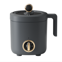 Nouvelle innovation 1.2L Mini pot électrique fendu marmite électrique portable