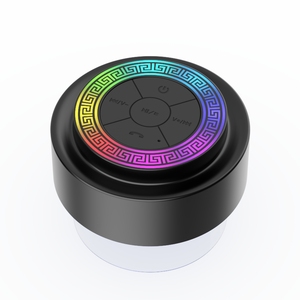 Meander RGB Design Kunststoff CE FCC ROSH TELEC IP67 Wasserdichter F012C Tragbarer Schlafzimmer-Dusch-Lautsprecher für 5.5 Sprachsteuerung - Product Image 1