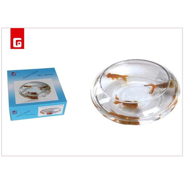 Glass Aquarium 19x7 cm - Home Decorations