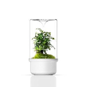 Terrarium en verre Bioloark - <span class=keywords><strong>Aquarium</strong></span> miniature de bureau pour la décoration du salon Noir/Blanc MH-80/100/120 - Product Image 2