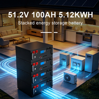 Batterie LiFePO4 de haute qualité 51,2 V 100 Ah 5 kWh pour montage en rack de serveur avec BMS intelligent et application WIFI pour système de stockage d'énergie solaire