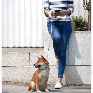 Correa para Mascotas con Pulsera, Correa para Perros con Manos Libres, con Modo Nocturno, Luz <span class=keywords><strong>LED</strong></span> Recargable de Alto Brillo, Correa para Perros y Gatos - Product Image 3