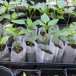 Bolsas biodegradables para cultivo de plantas de semillero, tamaño personalizado, no tejidas, para semillero, jardín y casa - Product Image 1