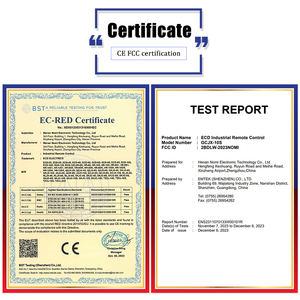 Reputación de marca Grúa inalámbrica Control remoto Grúa de fundición Radio industrial Control remoto inalámbrico - Product Image 2