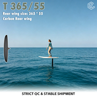 Aile arrière en carbone Axis 365/55 Hydrofoil 365x55mm Haute résistance Freeride Sports nautiques Unisexe Intermédiaire Efoil