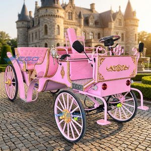 Meilleures ventes 2026 : Carrosse de princesse classique, Carrosse de Cendrillon pour mariage, Voiture électrique de tourisme à prix bas - Product Image 1