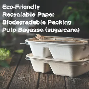 Milieuvriendelijke Bagasse Voedselverpakkingen Papieren Voedselverpakkingen Afhaalverpakking Bagasse Pulp Lunchbox Met Deksel