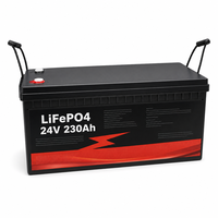 Batterie LiFePO4 à décharge profonde pour stockage d'énergie solaire domestique, étanche IP65, auto-chauffante, Bluetooth, OEM ODM, 12V 24V 48V