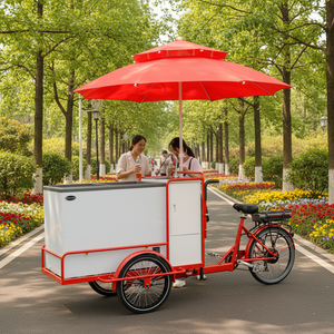 <span class=keywords><strong>Carretto</strong></span> Elettrico a Tre Ruote <span class=keywords><strong>per</strong></span> <span class=keywords><strong>Gelati</strong></span> con Vetrina Refrigerata, Vendita Diretta dalla Fabbrica Cinese - Product Image 4