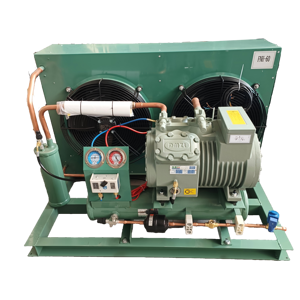 Unité de condensation semi-hermétique à refroidissement par air à mouvement alternatif pour chambre froide de viande, fruits de mer et fruits, directement de l'usine - Product Image 6